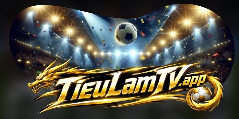 World Cup, Euro và các giải đội tuyển