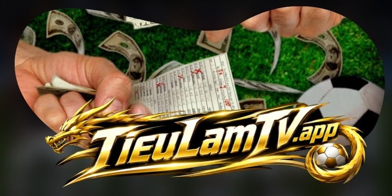 Vì sao website xem bóng đá Tieulamtv dễ sử dụng?